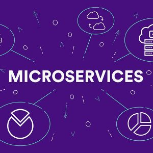 Introducing: Microservices vs SOA